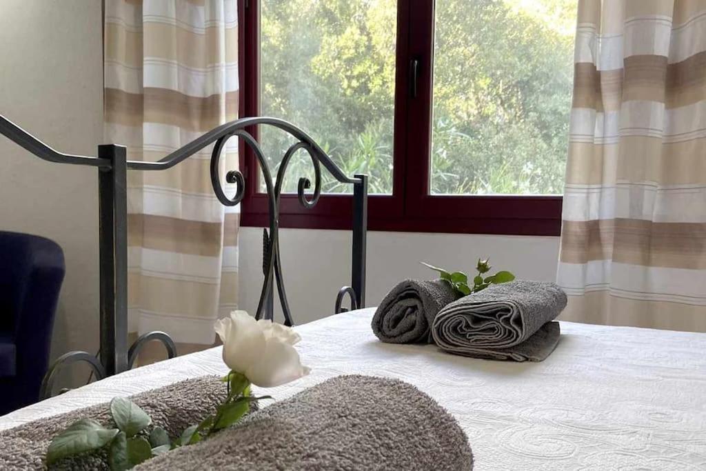 Taddore Green Lodge Galtelli Ngoại thất bức ảnh
