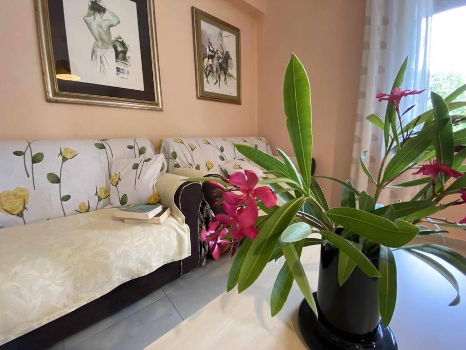 Taddore Green Lodge Galtelli Ngoại thất bức ảnh