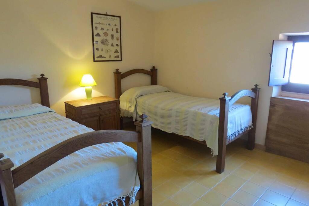 Taddore Green Lodge Galtelli Ngoại thất bức ảnh