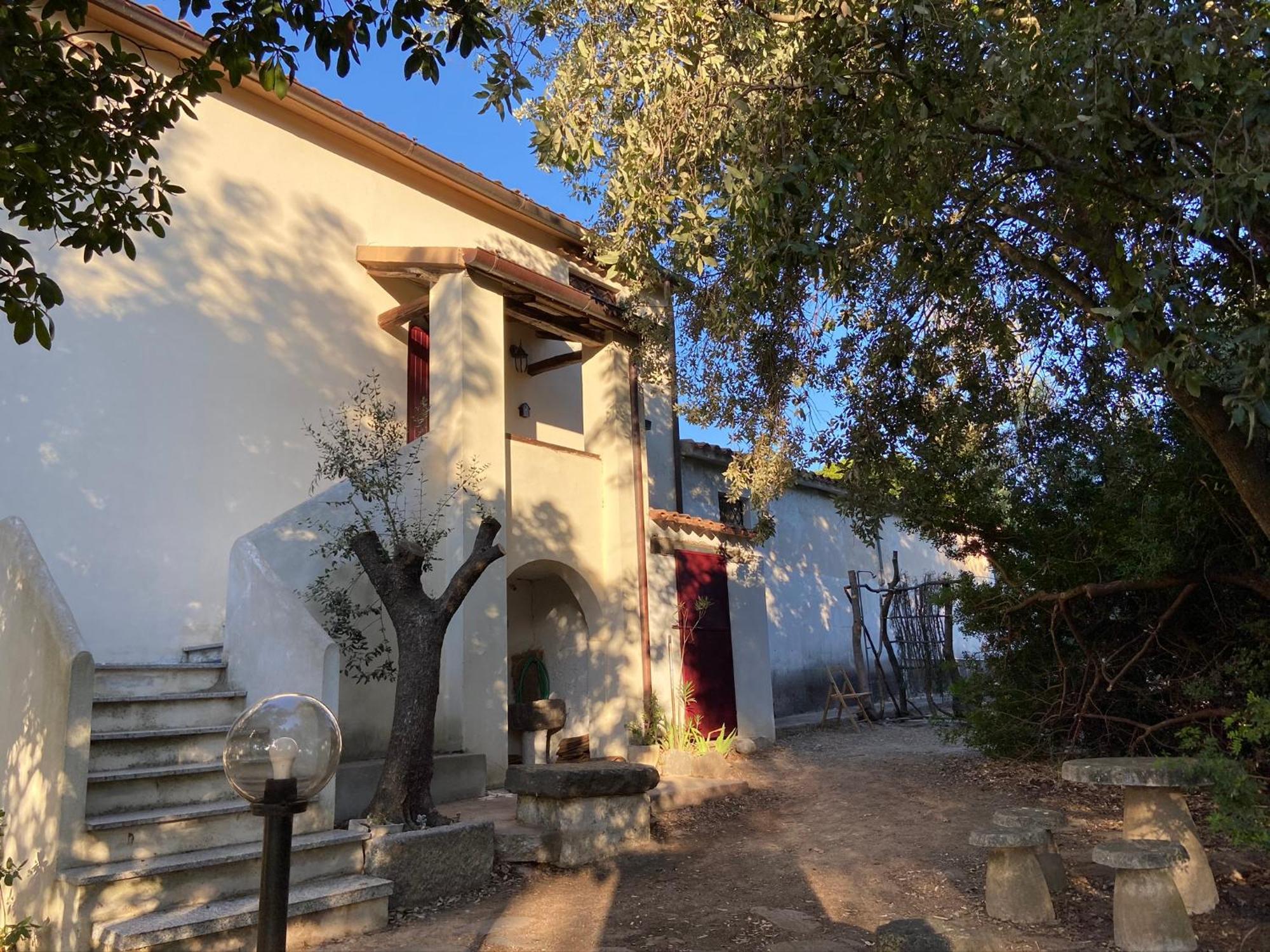 Taddore Green Lodge Galtelli Ngoại thất bức ảnh